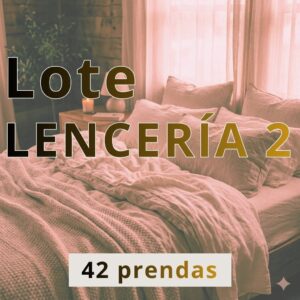 Lote LENCERÍA 2 - 42 prendas