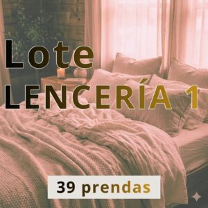 Lote LENCERÍA 1 - 39 prendas